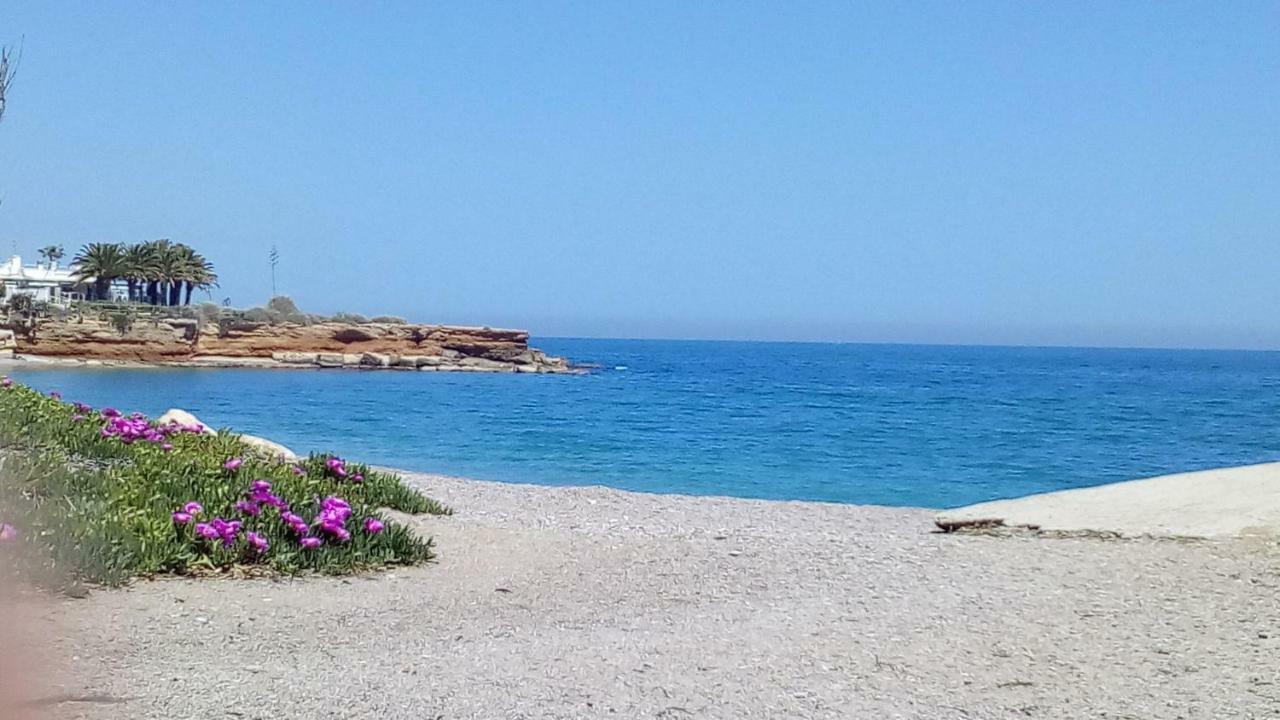 Primera Linea Playa Vinarós Luaran gambar